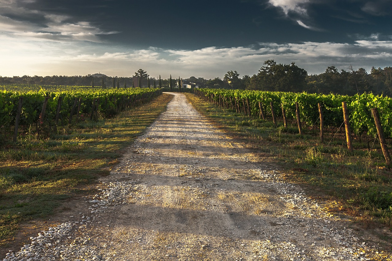 Tuscan Country Lane by AlohaMalakhov on Pixabay.