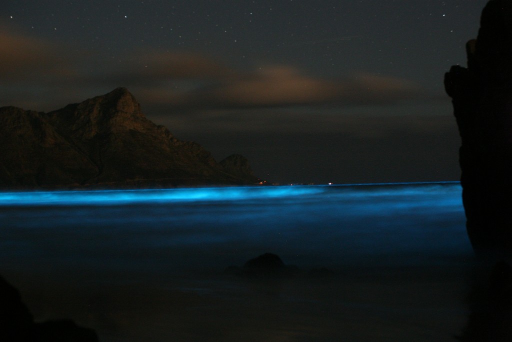 Bruce Anderson's photo submitted to the BMC Ecology competition in 2012, who share the photo with this explanation: “Blue Tide. Seasonal winds can cause the upwelling of nutrients which in turn can cause plankton populations to bloom as "red tides." Here, a dinoflagellate population (Noctiluca sp.) turns the ocean a luminous blue colour as the disturbance by the wind triggers a light-generating chemical reaction. The production of light is thought to attract fish predators that prey on potential predators of the dinoflagellates.”