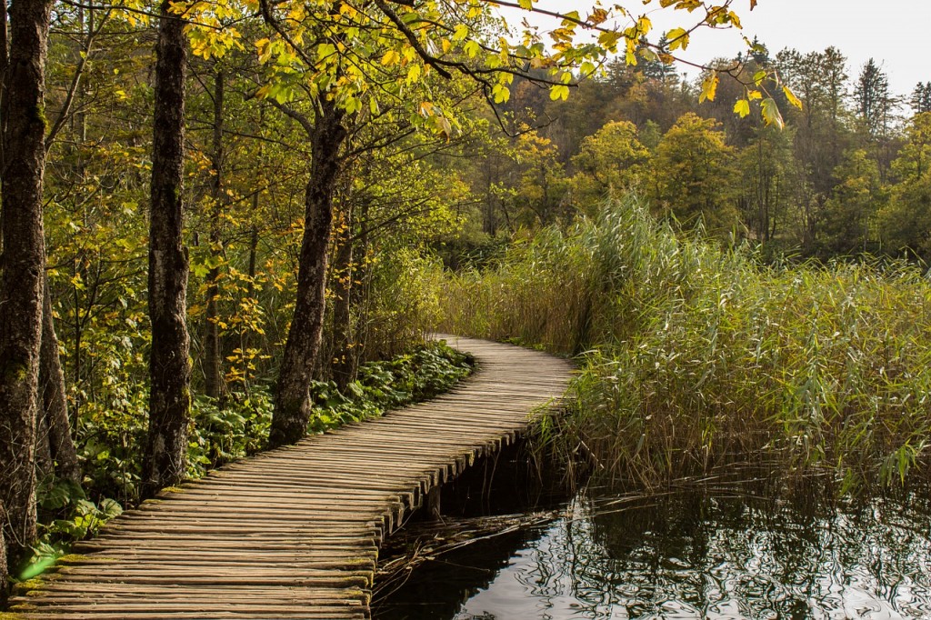 The path along Plitvice Lakes by LalalaB on Pixabay, Creative Commons image.