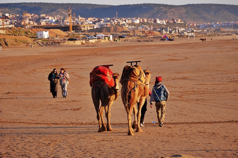 So these guys park their camels at the beach all day in hopes of getting tourists to fork over cash for photos. Now you know.