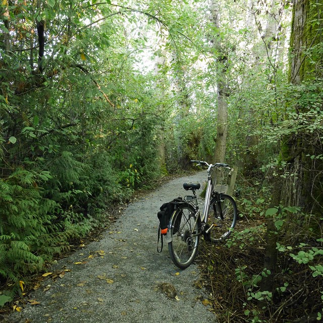 My bike at Swan Lake recently, the best escape I can manage these days. 