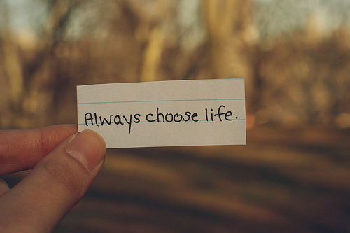 45844-Always-Choose-Life