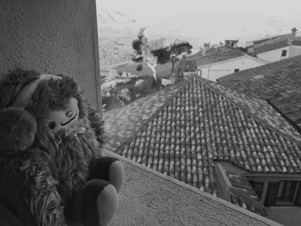 Quatchi takes in the sights in Motovun. This was when I first began realizing the magnitude of the adventure I had begun.